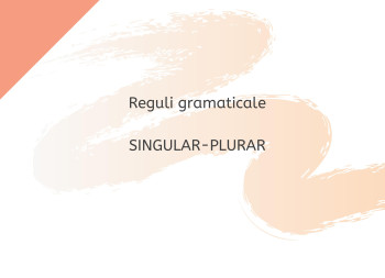 Reguli gramaticale: singular-plural