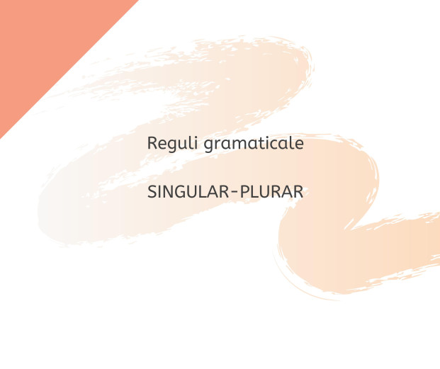 Reguli gramaticale: singular-plural